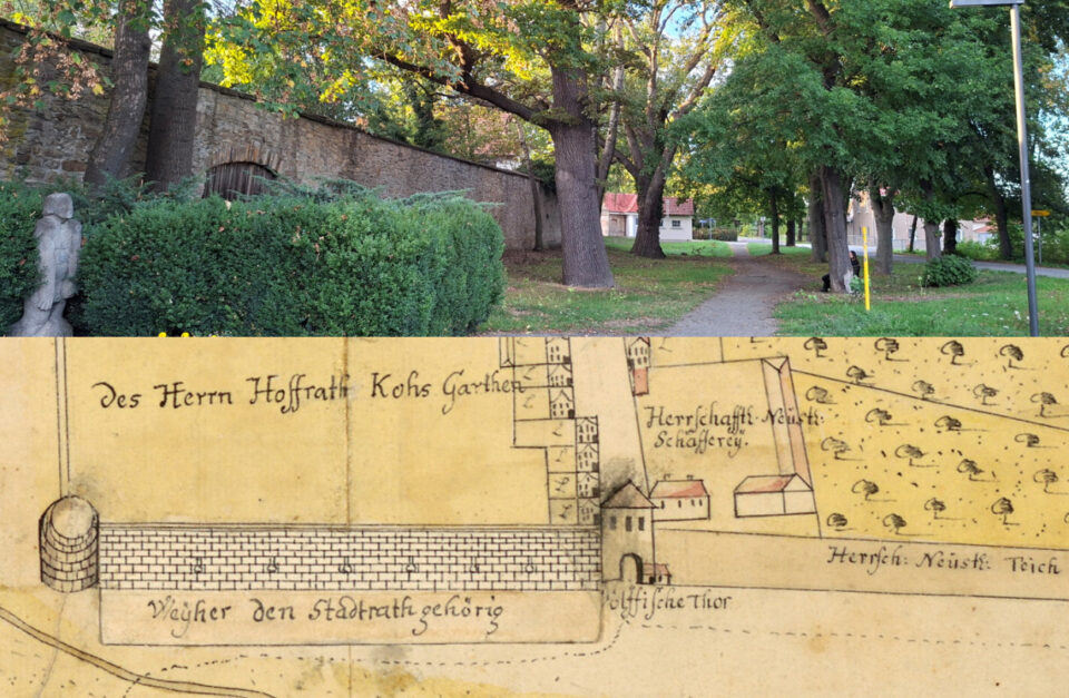 12 Weyher – Korbteich SP1747